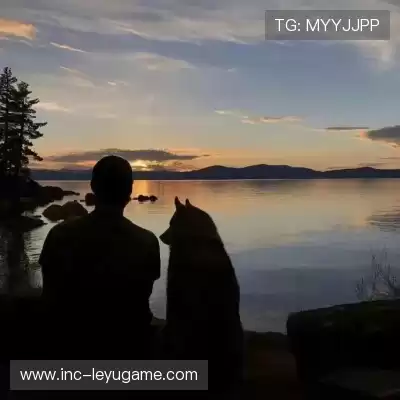 窦耿禹
